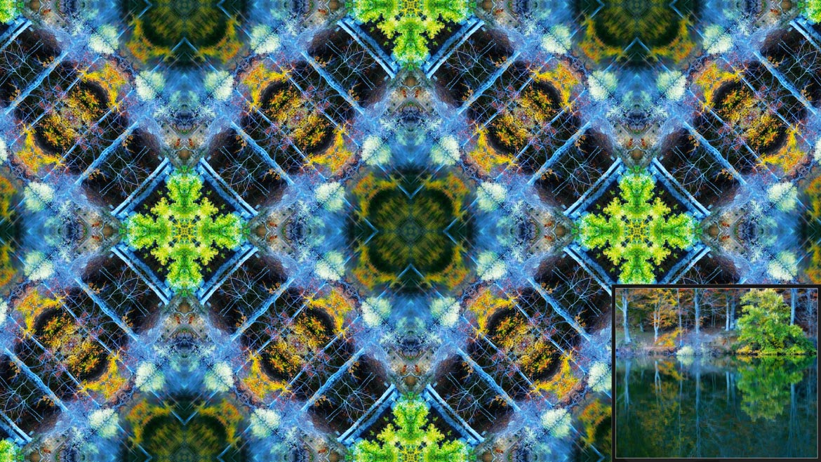 See the original image and the kaleidoscope